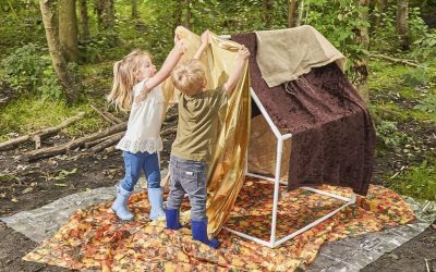 The art of den building by NDNA