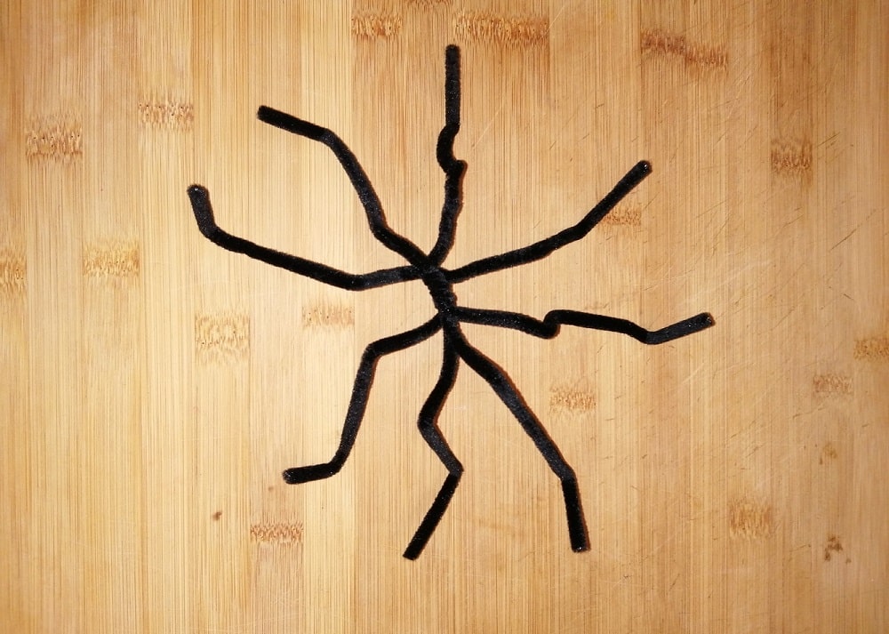 Pipe Cleaner Spiders