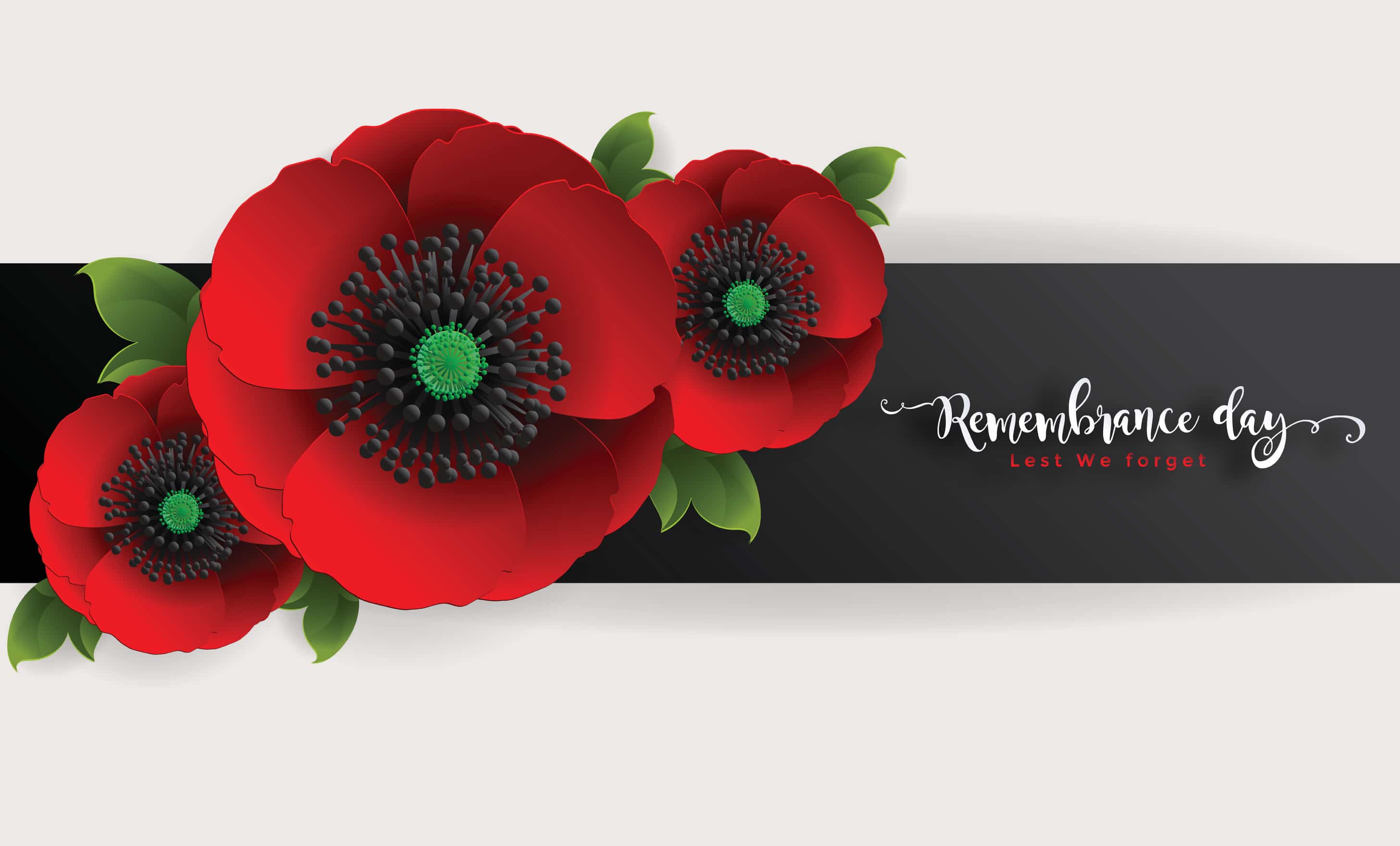 Remembrance poppies to be made entirely from paper in future, Remembrance  Day