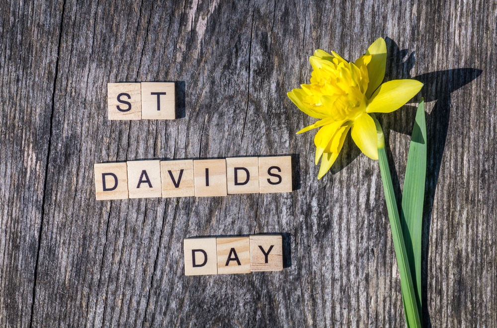 5 facts about St David’s Day