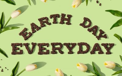 Quiz: Find the hidden Earth Day words