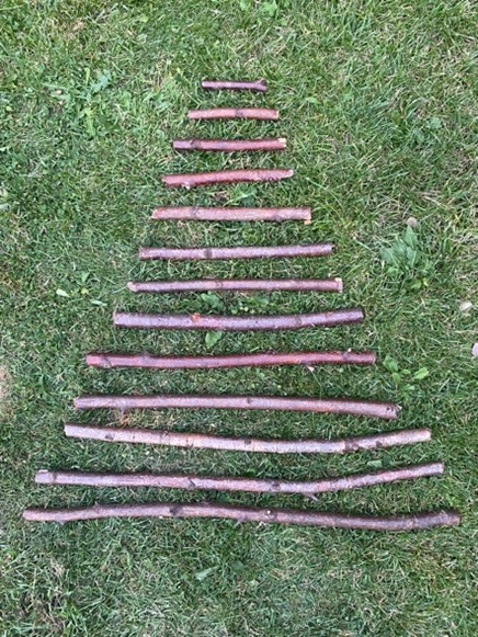 various length sticks laid out on ground in tree shape