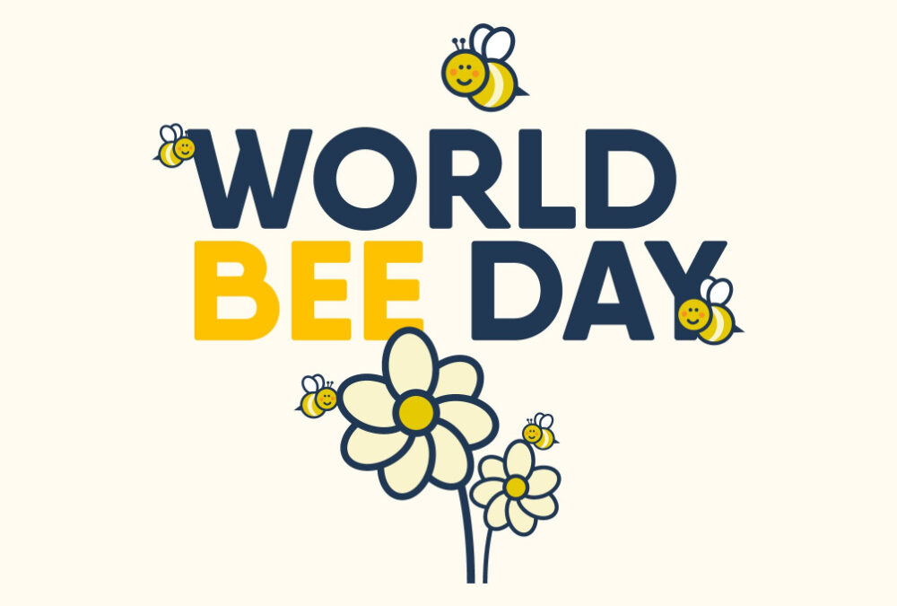 World Bee Day – why are bees so important? & QUIZ