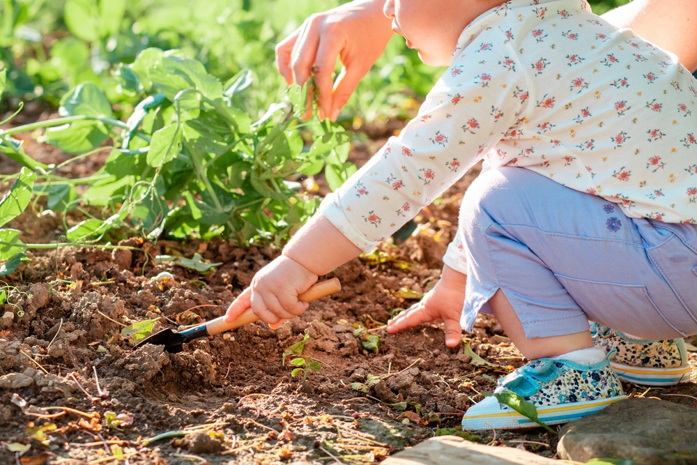 toddler planting and gardening outdoors