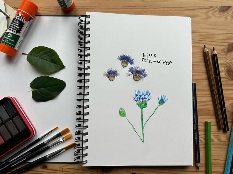 nature crafts for kids- finished journal page