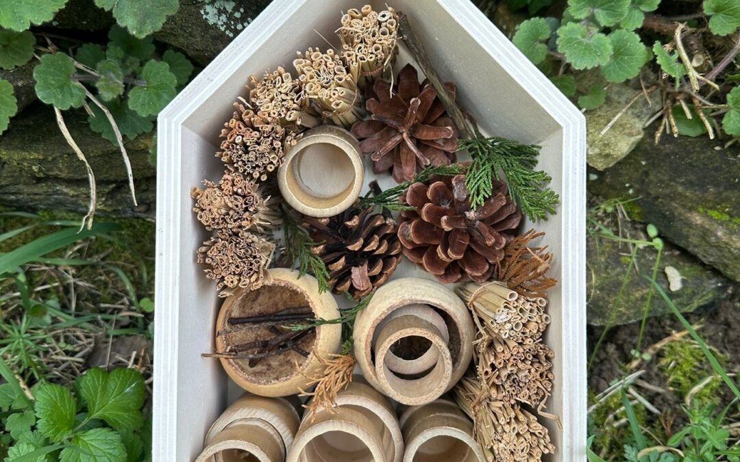 Make a Bug Hotel with Young Children