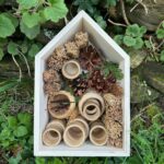 Make a Bug Hotel with Young Children
