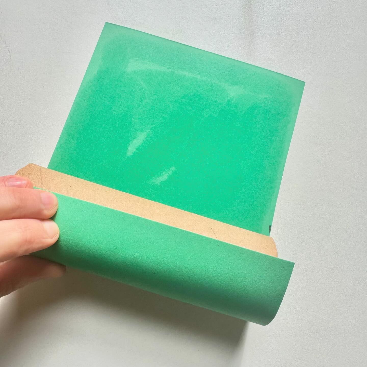 wrpping toilet roll in green card